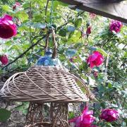 mangeoire à oiseaux poterie et vannerie osier autoclave